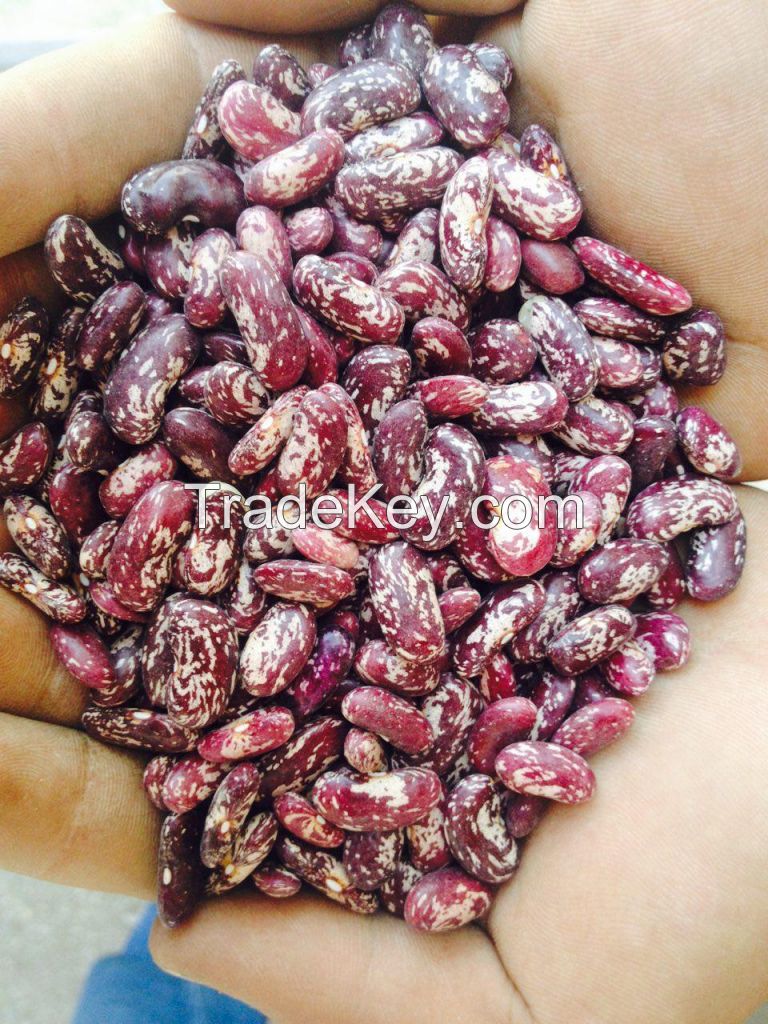 Kidney Beans