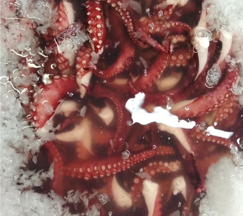 Frozen octopus tentacles slice for sushi