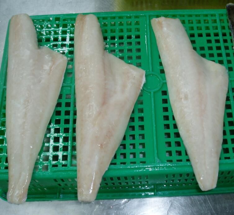 Frozen haddock fillets