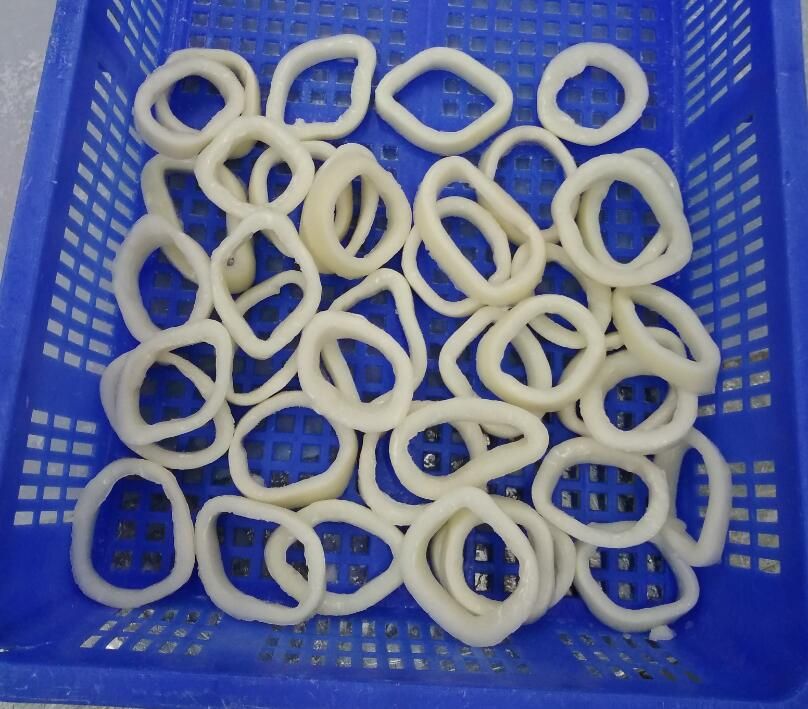 Frozen IQF squid rings