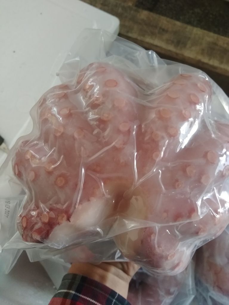 Frozen IQF Boiled octopus