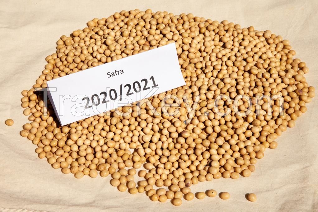 Brazilian Soybean GMO 