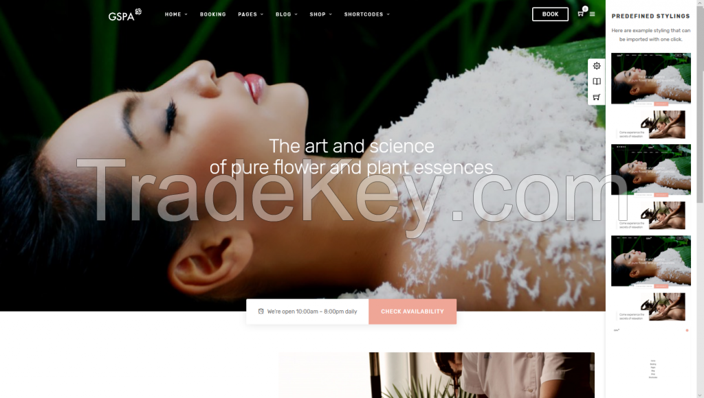 Website spa, massage, skin care, salon