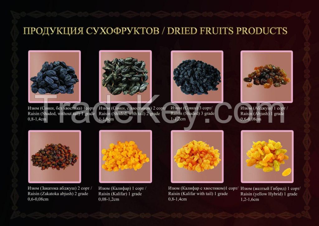 Fruits and Vegetables