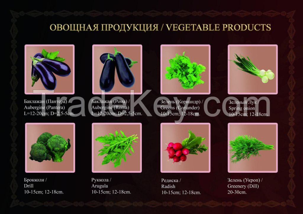 Fruits and Vegetables