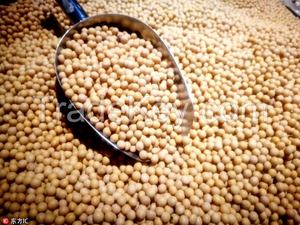  Organic Cultivation Type Dried Bulk Soybean Seed 