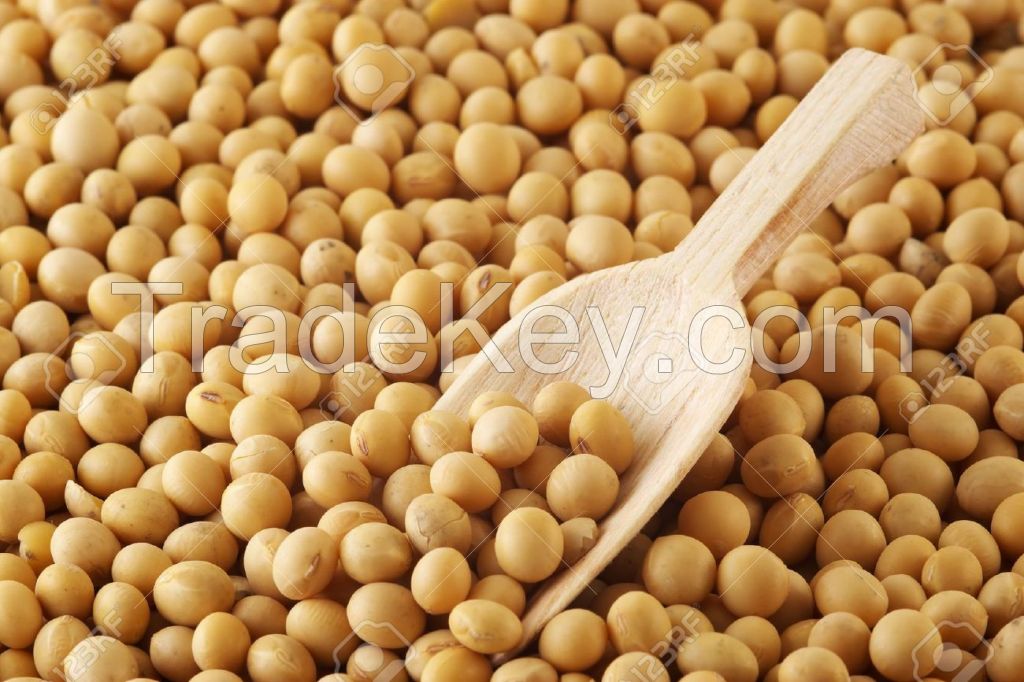  Organic Cultivation Type Dried Bulk Soybean Seed 