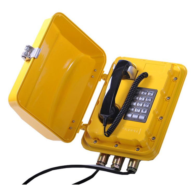 Analogue Explosion proof Waterproof Telephone  with PABX system