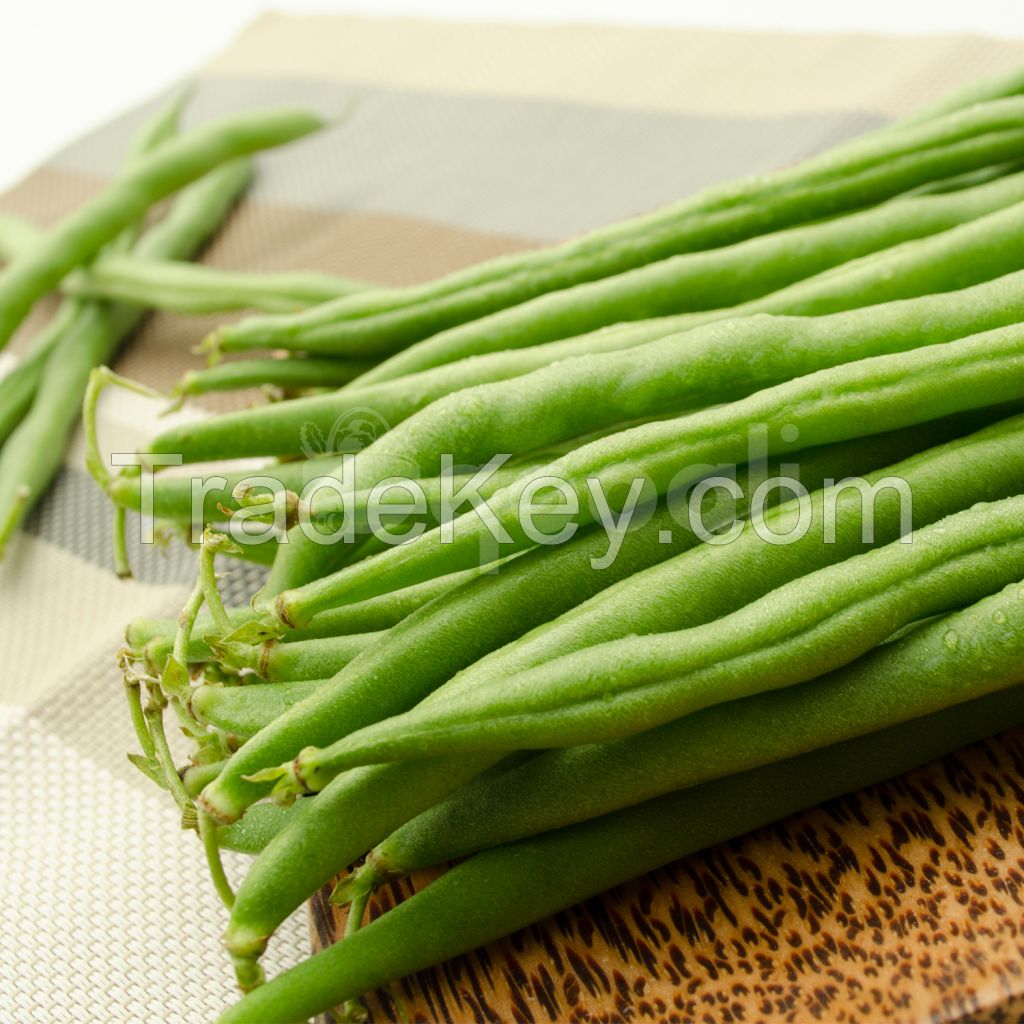 French Bean