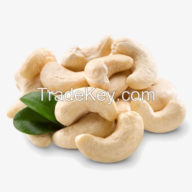 CASHEW NUT BEST PRICE