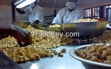 WW320 Dried CashewNut/ Cashew Nuts W180 W240 W320 W450/ Vietnam 