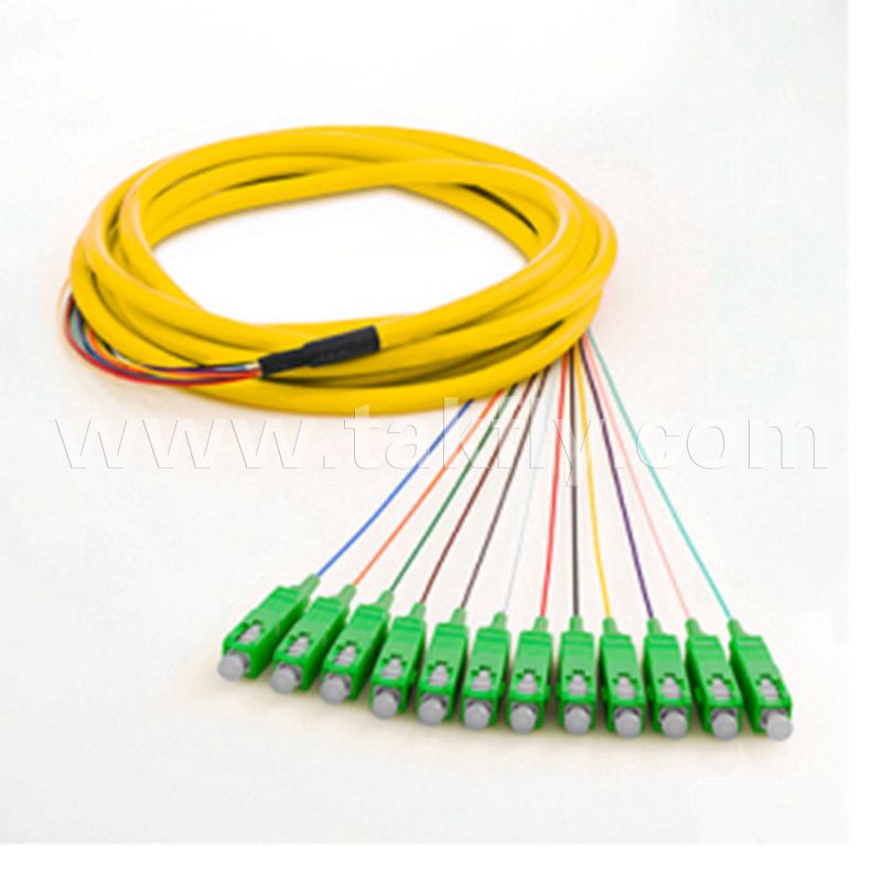 12 Core Sc APC Sm Breakout Ribbon Fiber Optic Pigtail