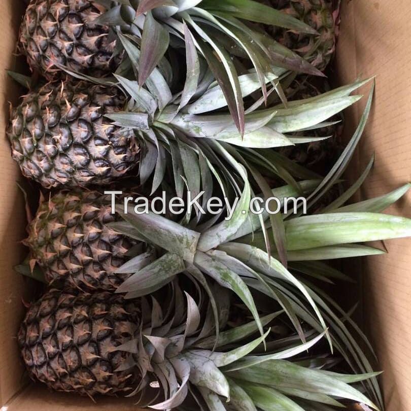 Fresh Pineapples