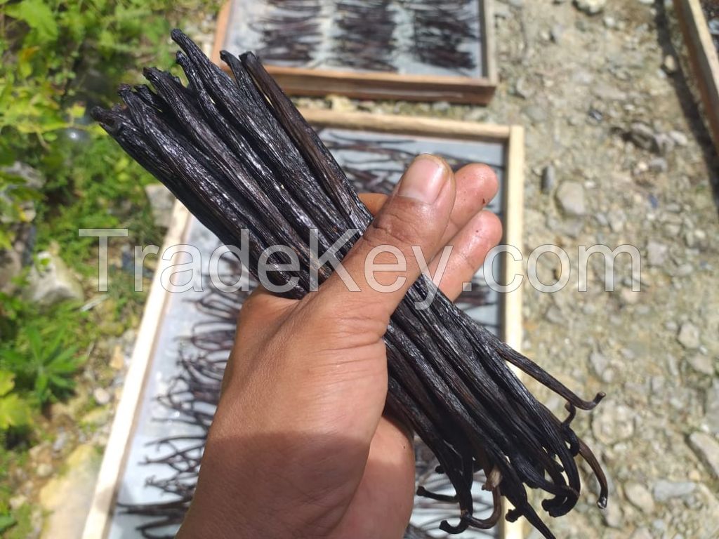 Planifolia Vanilla Beans