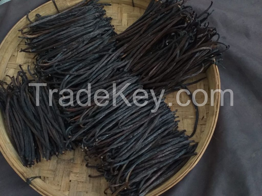 Planifolia Vanilla Beans