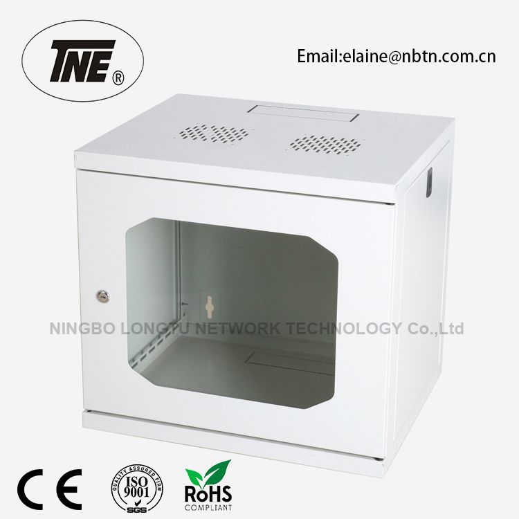 19" Economic Wall Mount Cabinet with 550mm Width