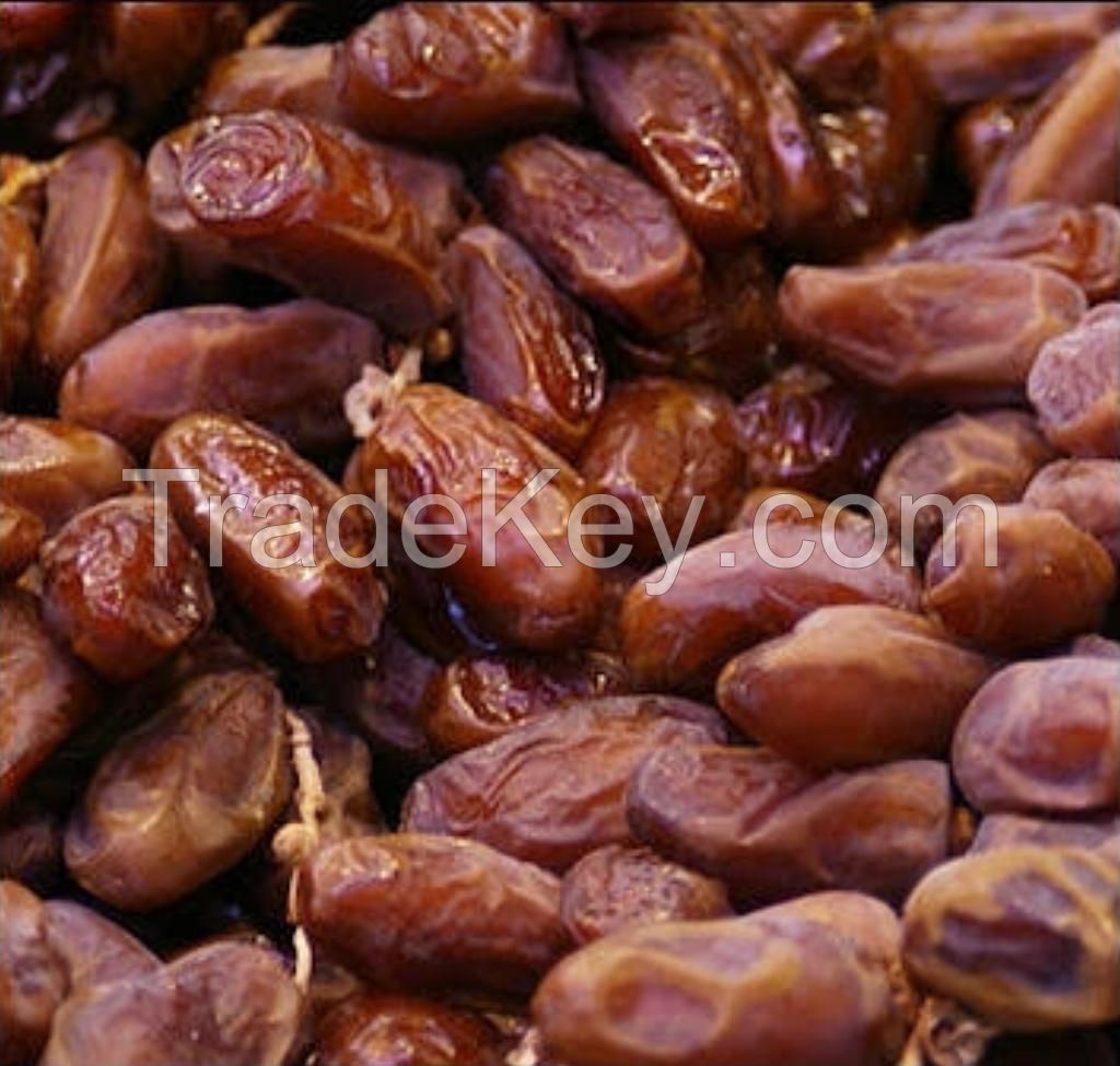 Date (Phoenix dactylifera)