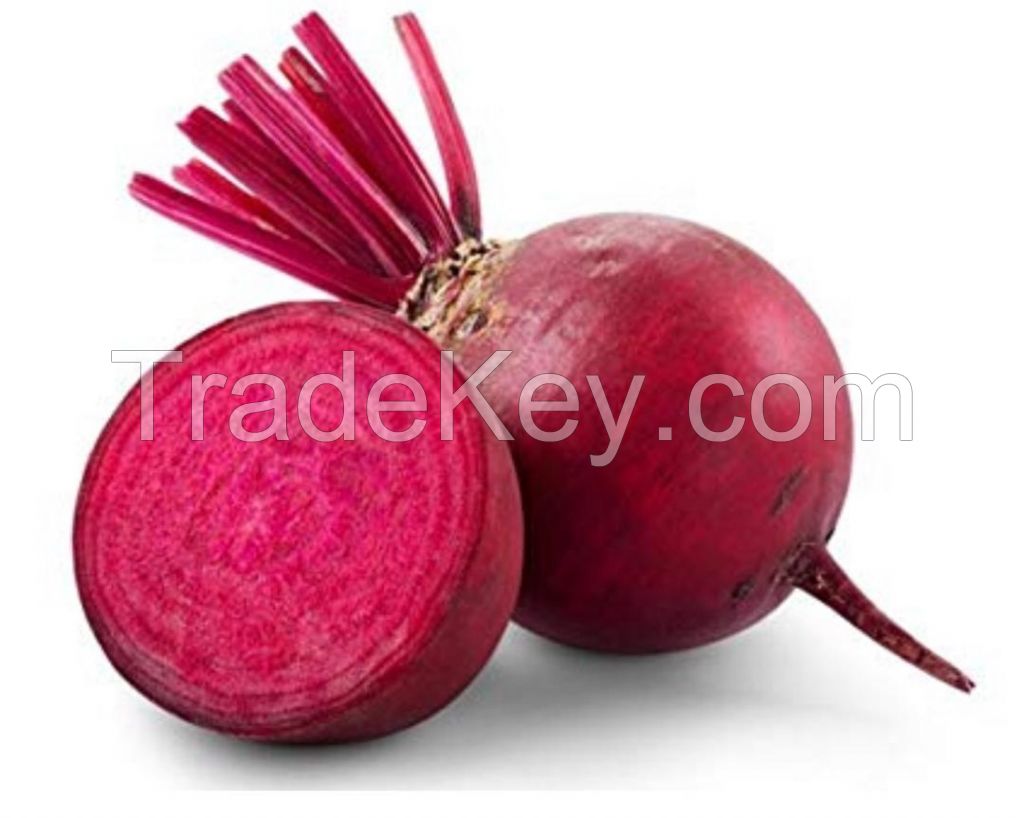 Beetroot Fresh vegetable