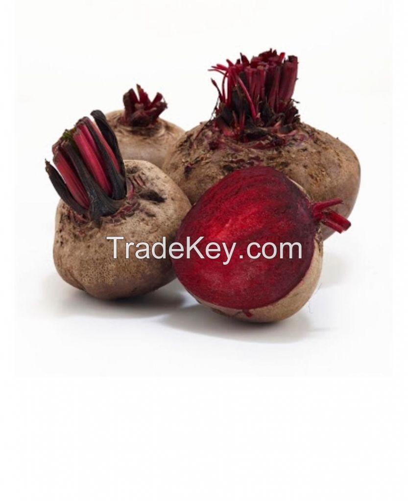 Beetroot Fresh vegetable