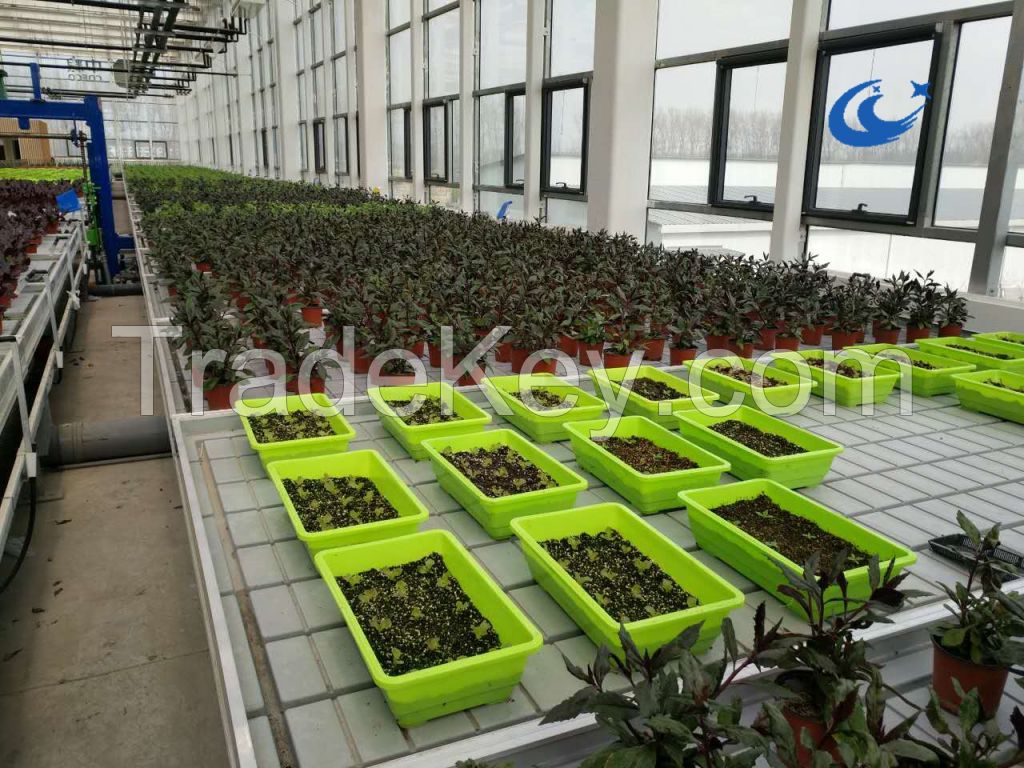 Greenhouse benches, rolling seedbed for planting