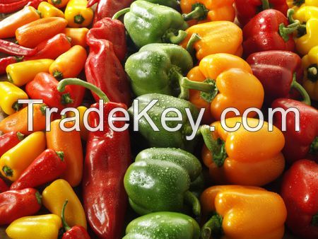Bell Pepper