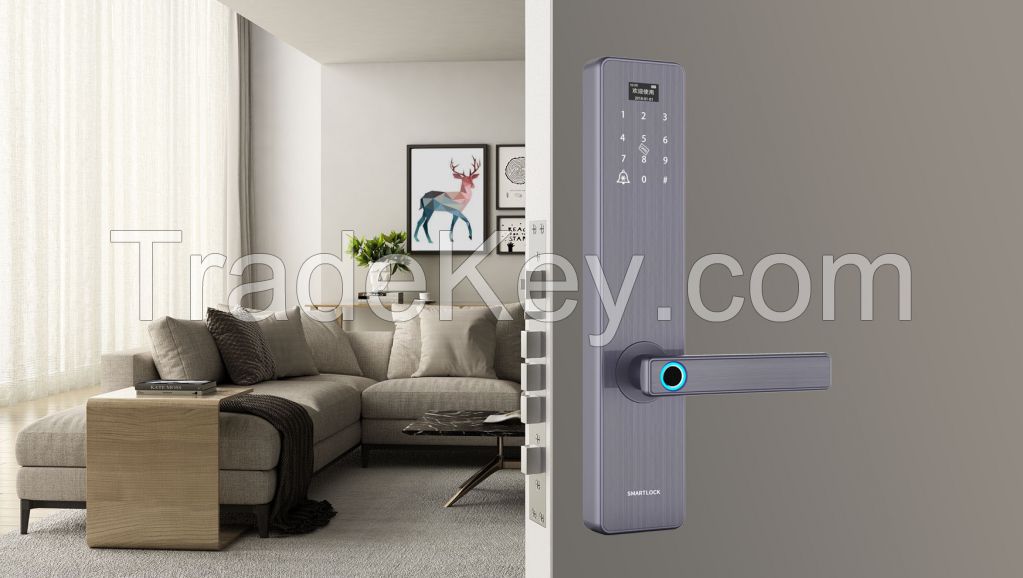 Fingerprint PIN code password Bluetooth Keyless Entry door locks auto-unlocking system