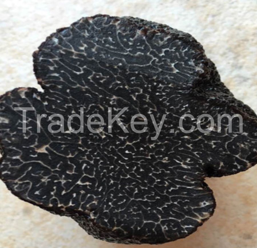 Black Winter Truffle