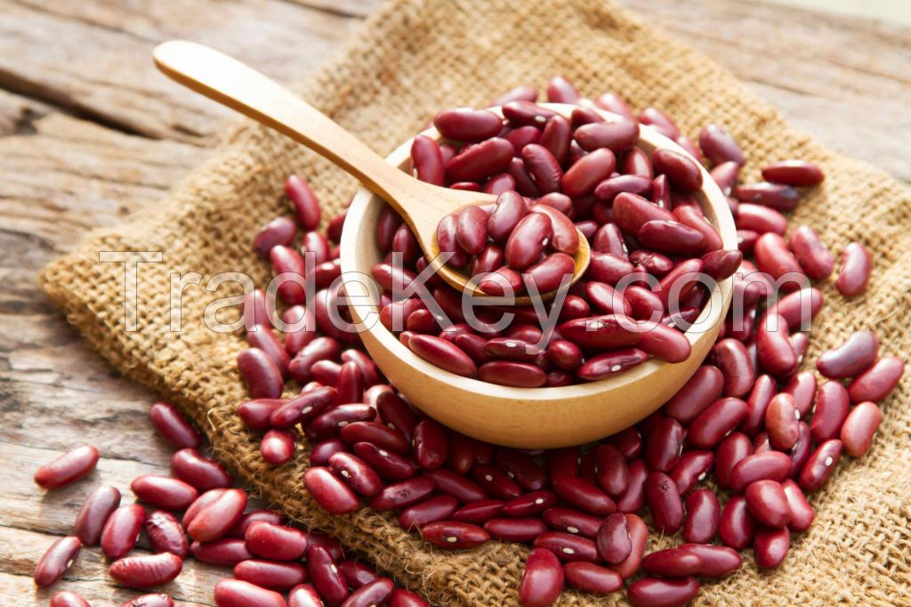 RED KIDNEY BEANS