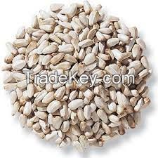 Safflower Seeds