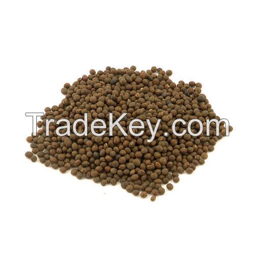 Organic Vetch Seed