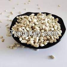 Safflower Seeds