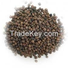 Organic Vetch Seed