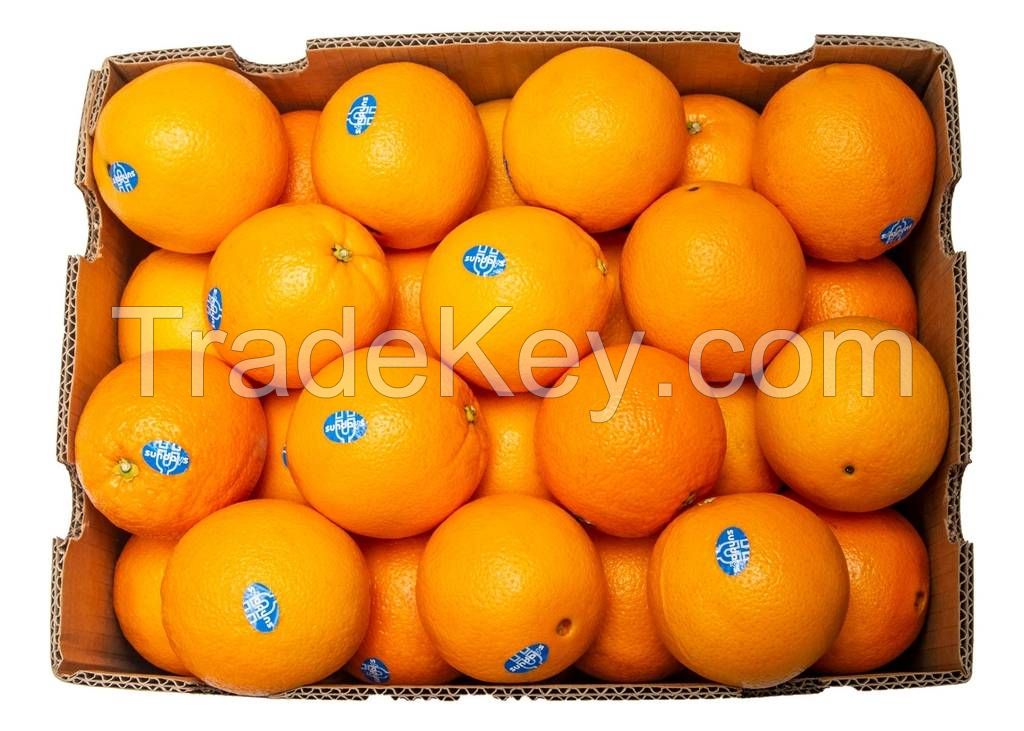 ORANGE  VALENCIA