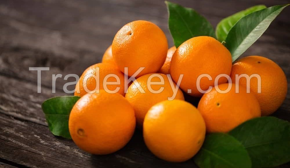 ORANGE  VALENCIA