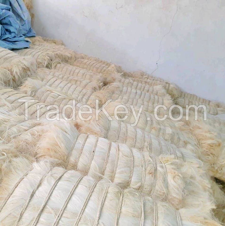 Quality UG Grade Sisal Fibre of Kenyan Origin