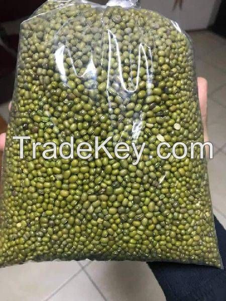 high quality moong dal price Green Mung Beans small size,2.6mm-3.5mm