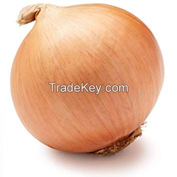 Onion