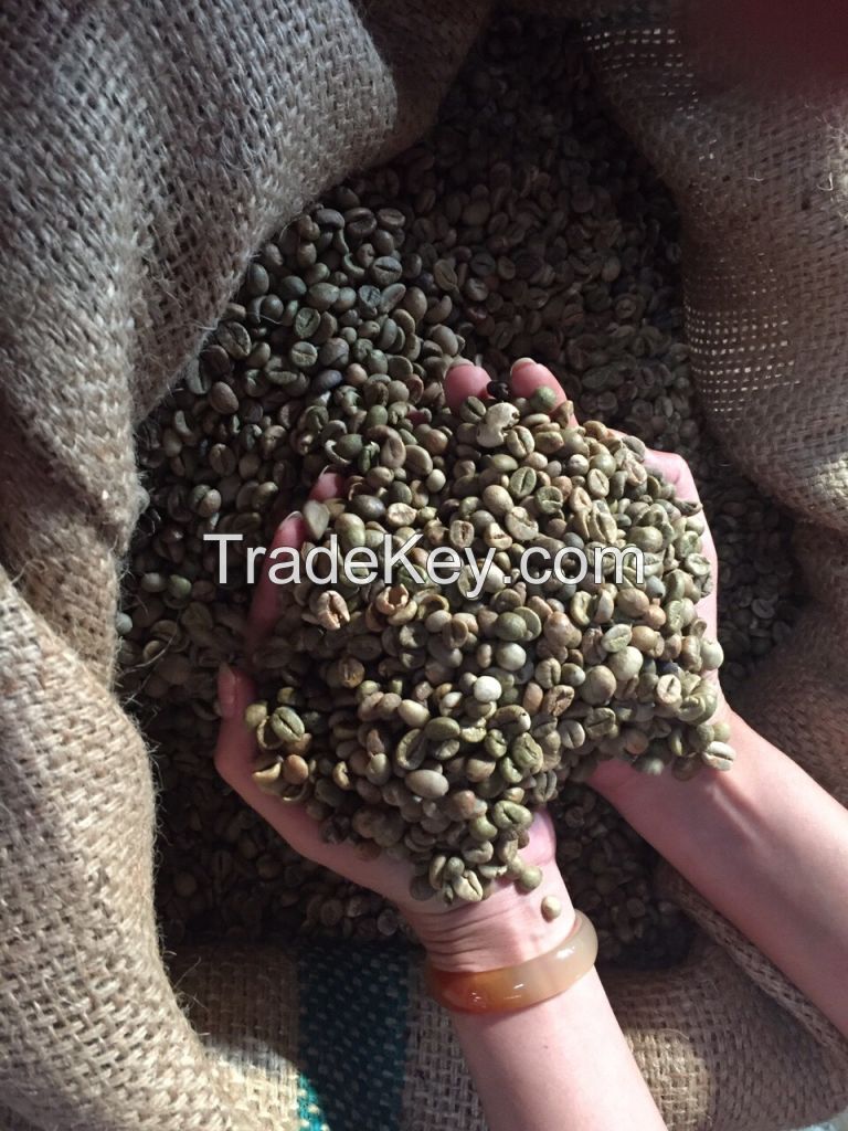 VIETNAM ROBUSTA COFFEE BEAN