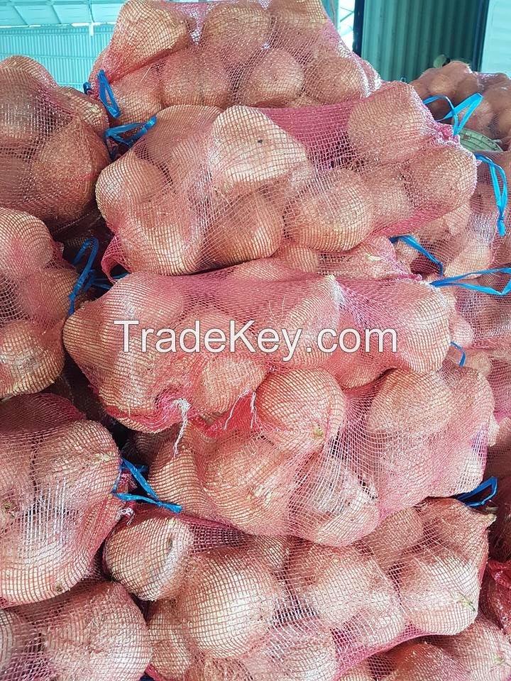 VIETNAM FRESH MATURE COCONUT