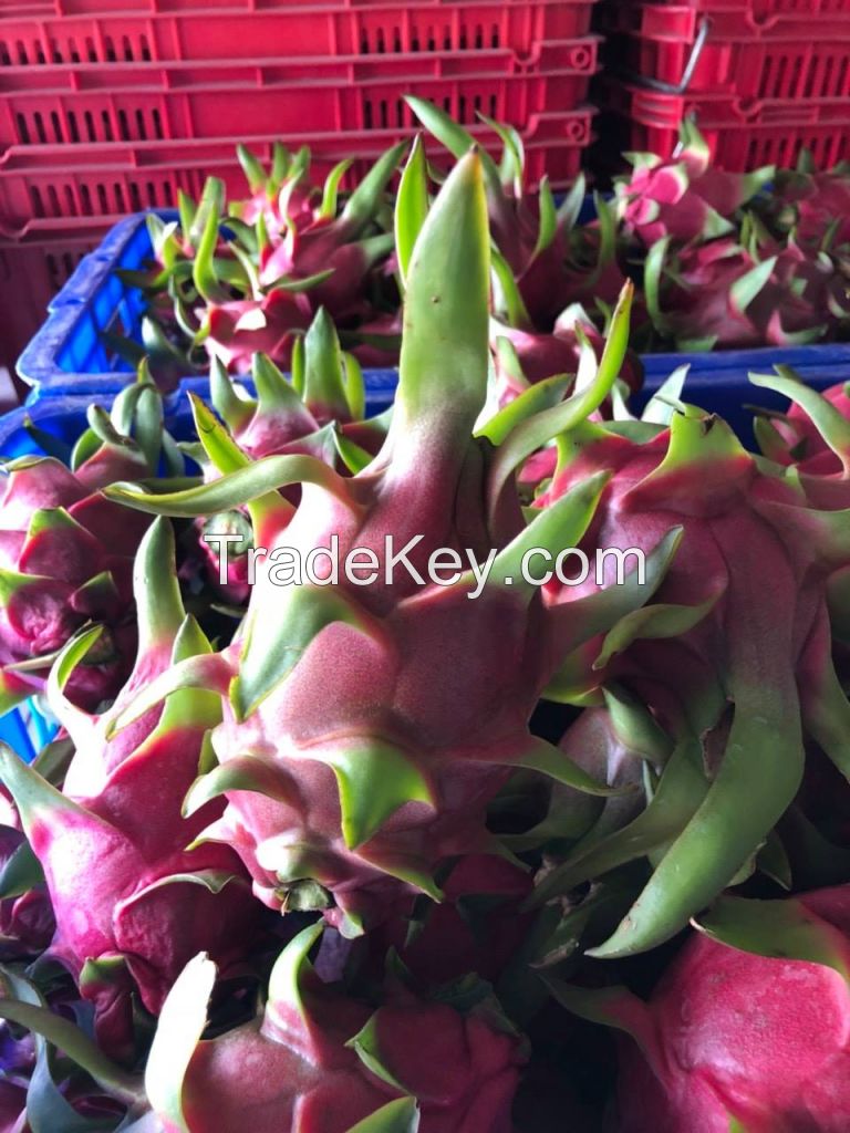 Vietnam Fresh Dragon Fruit (white Flesh)