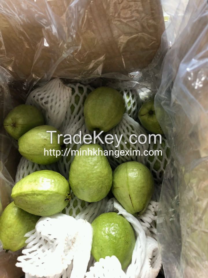 FRESH GUAVA FROM VIETNAM