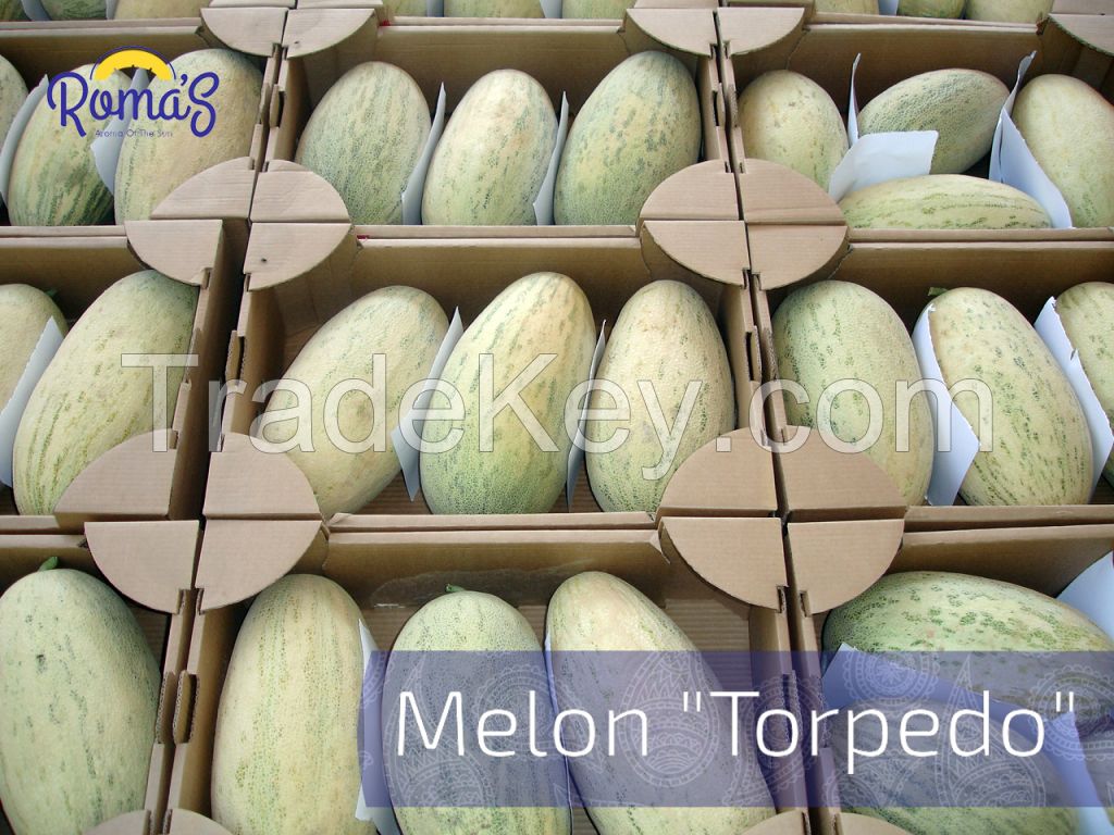 Fresh Melon