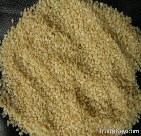 Sesame Seeds