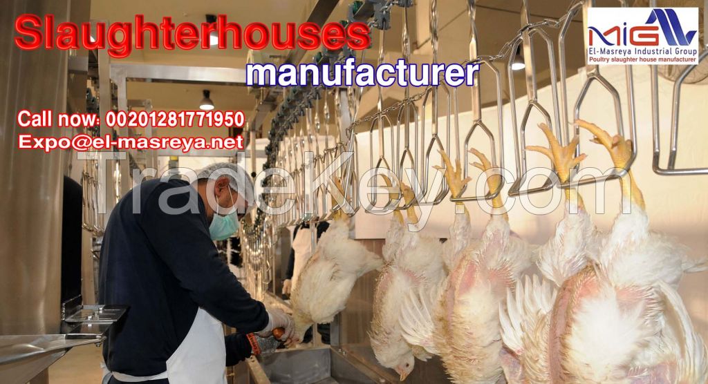 poultry slaughterhouse 500 bph