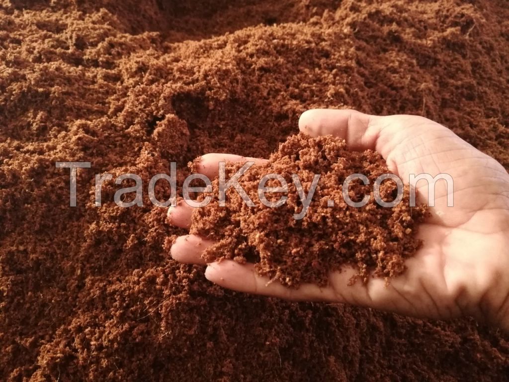 Vietnam Coco peat