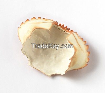 Dried Crab Shell for animal good price