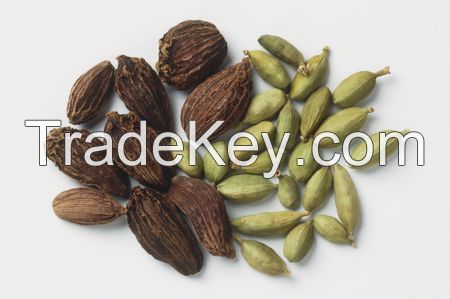 Black/Green Cardamom