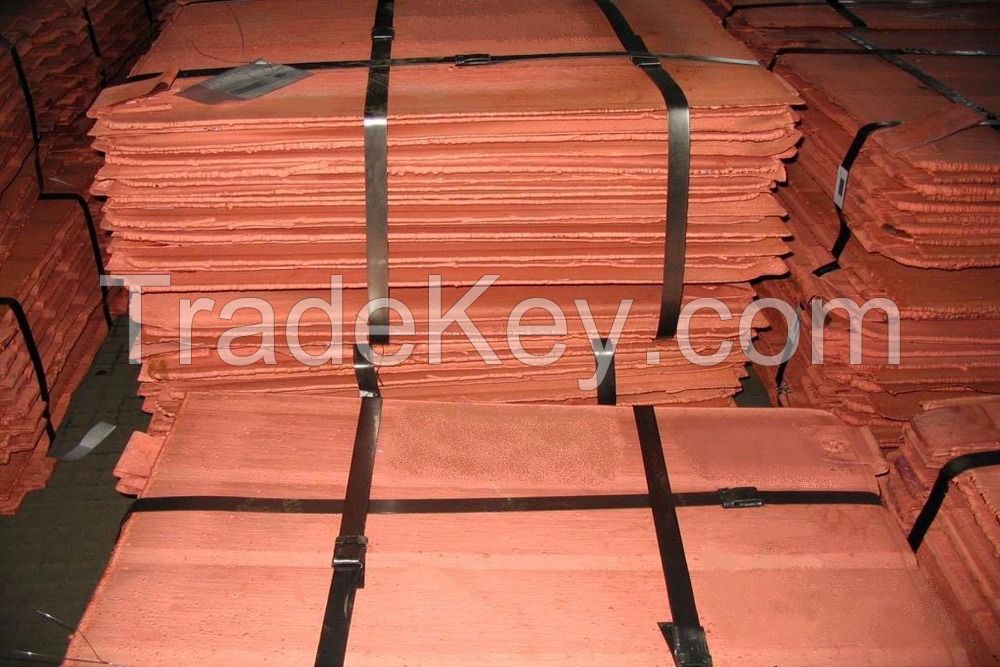 Electrolyte Copper Cathodes