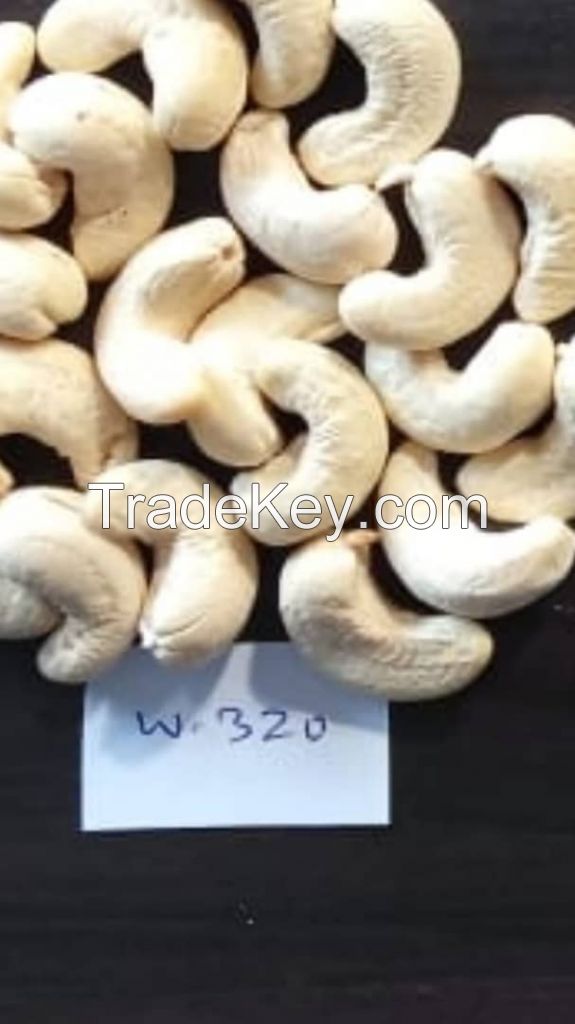 Cashew Nuts Kernels