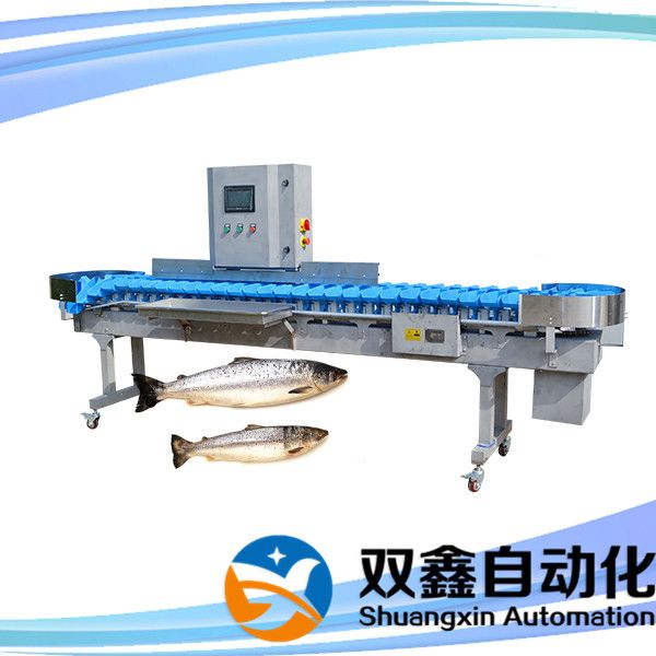 Fish sorting machine